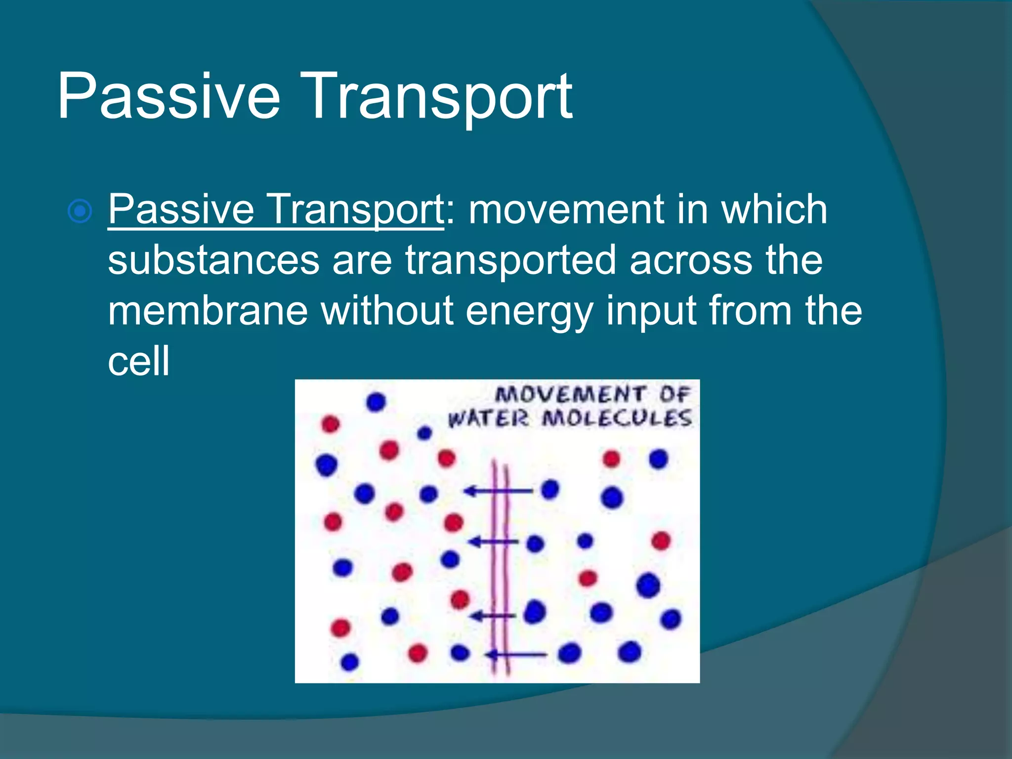 Passive Transport
 Passive Transport: movement in which
substances are transported across the
membrane without energy input from the
cell
 