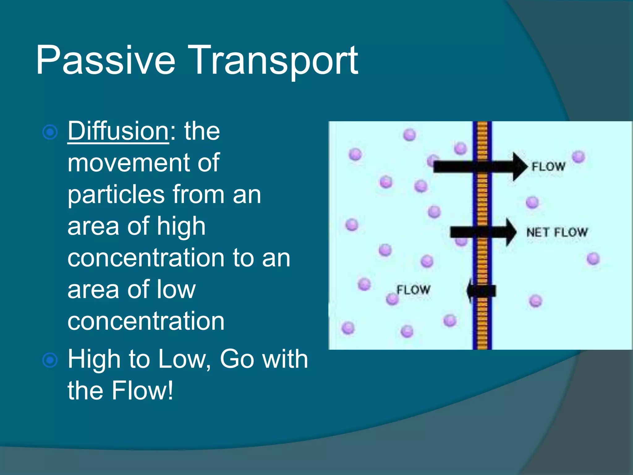 Passive Transport
 Diffusion: the
movement of
particles from an
area of high
concentration to an
area of low
concentration
 High to Low, Go with
the Flow!
 
