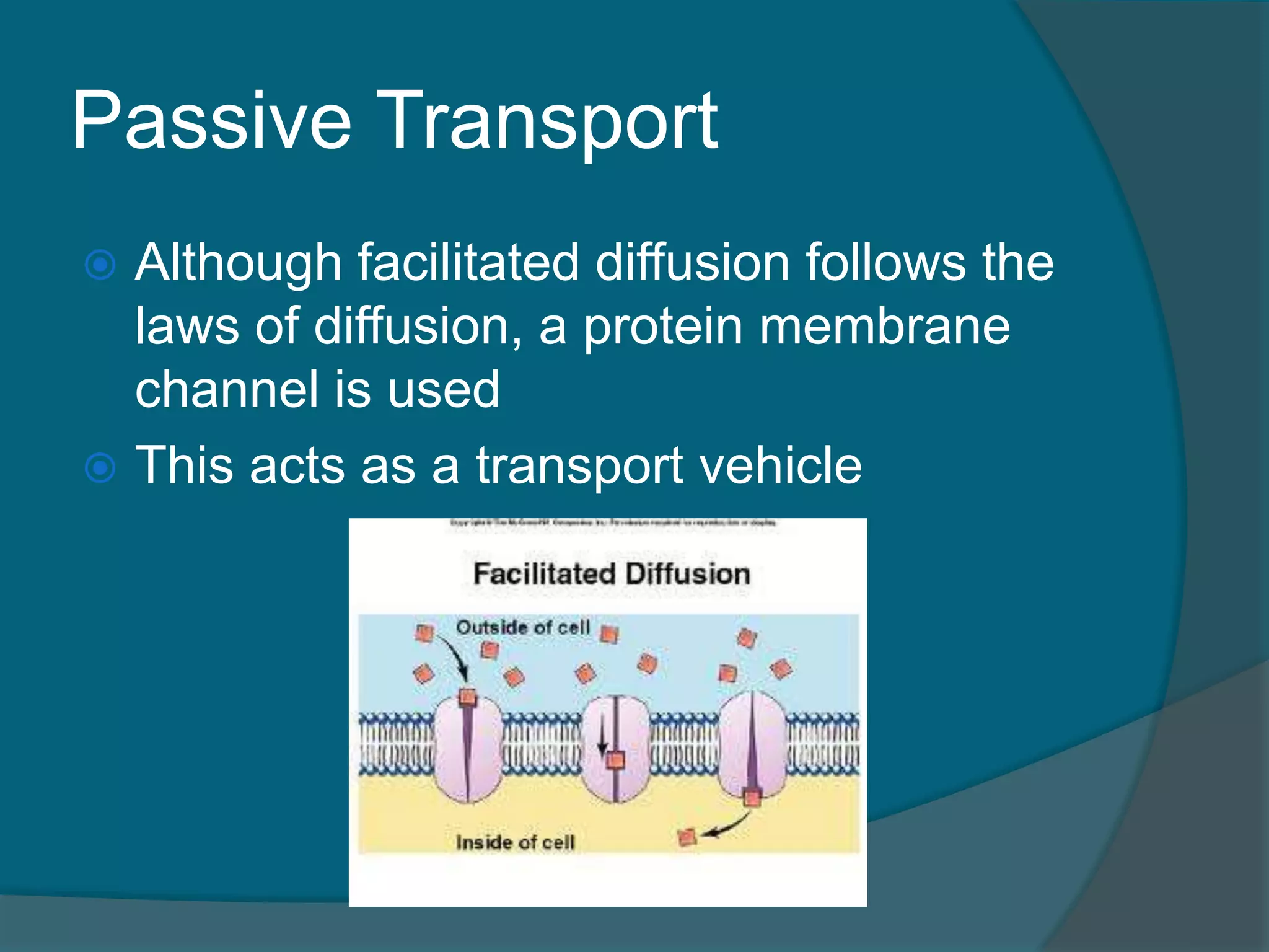 Passive Transport
 Although facilitated diffusion follows the
laws of diffusion, a protein membrane
channel is used
 This acts as a transport vehicle
 