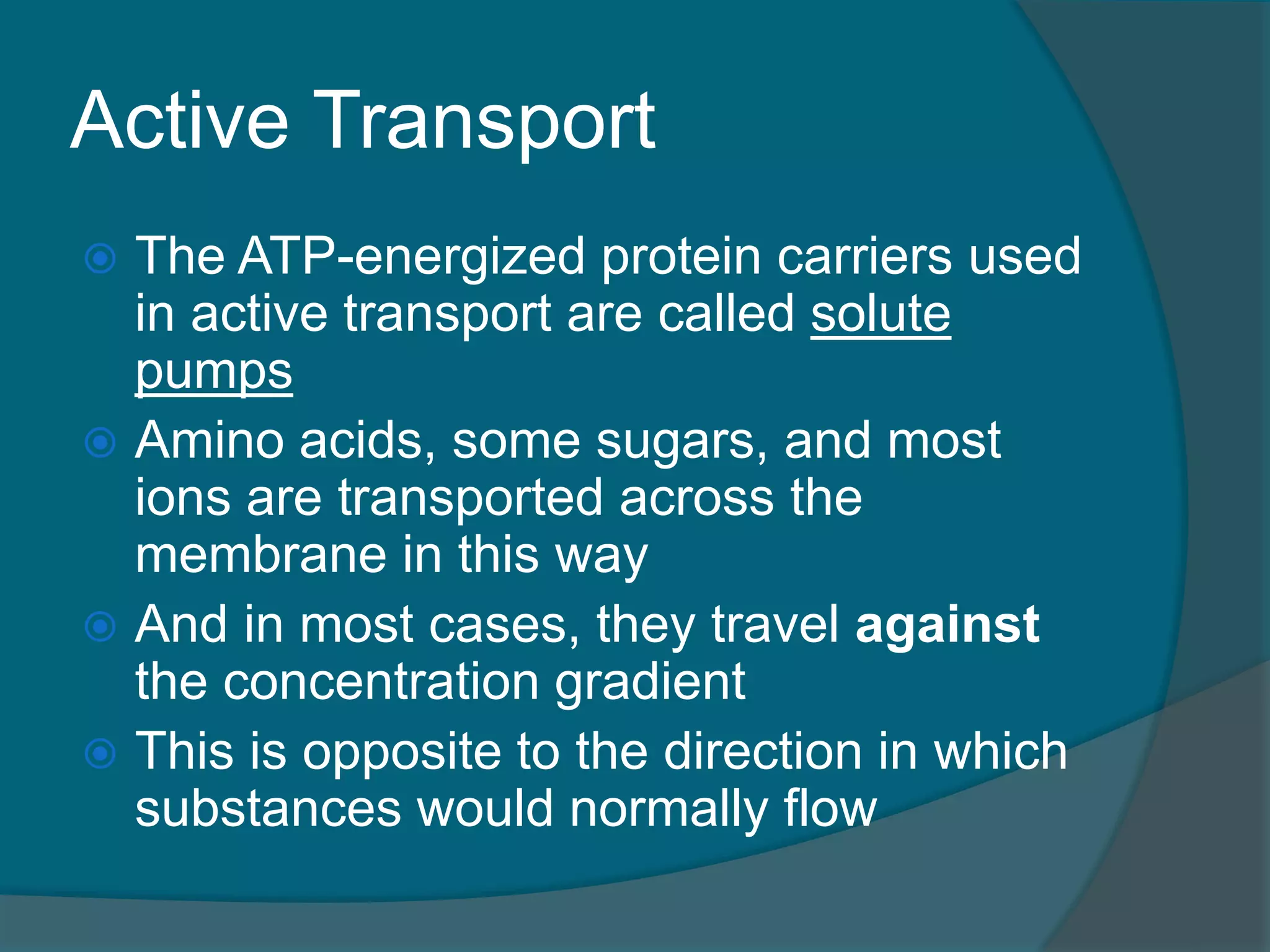 Active Transport
 The ATP-energized protein carriers used
in active transport are called solute
pumps
 Amino acids, some sugars, and most
ions are transported across the
membrane in this way
 And in most cases, they travel against
the concentration gradient
 This is opposite to the direction in which
substances would normally flow
 