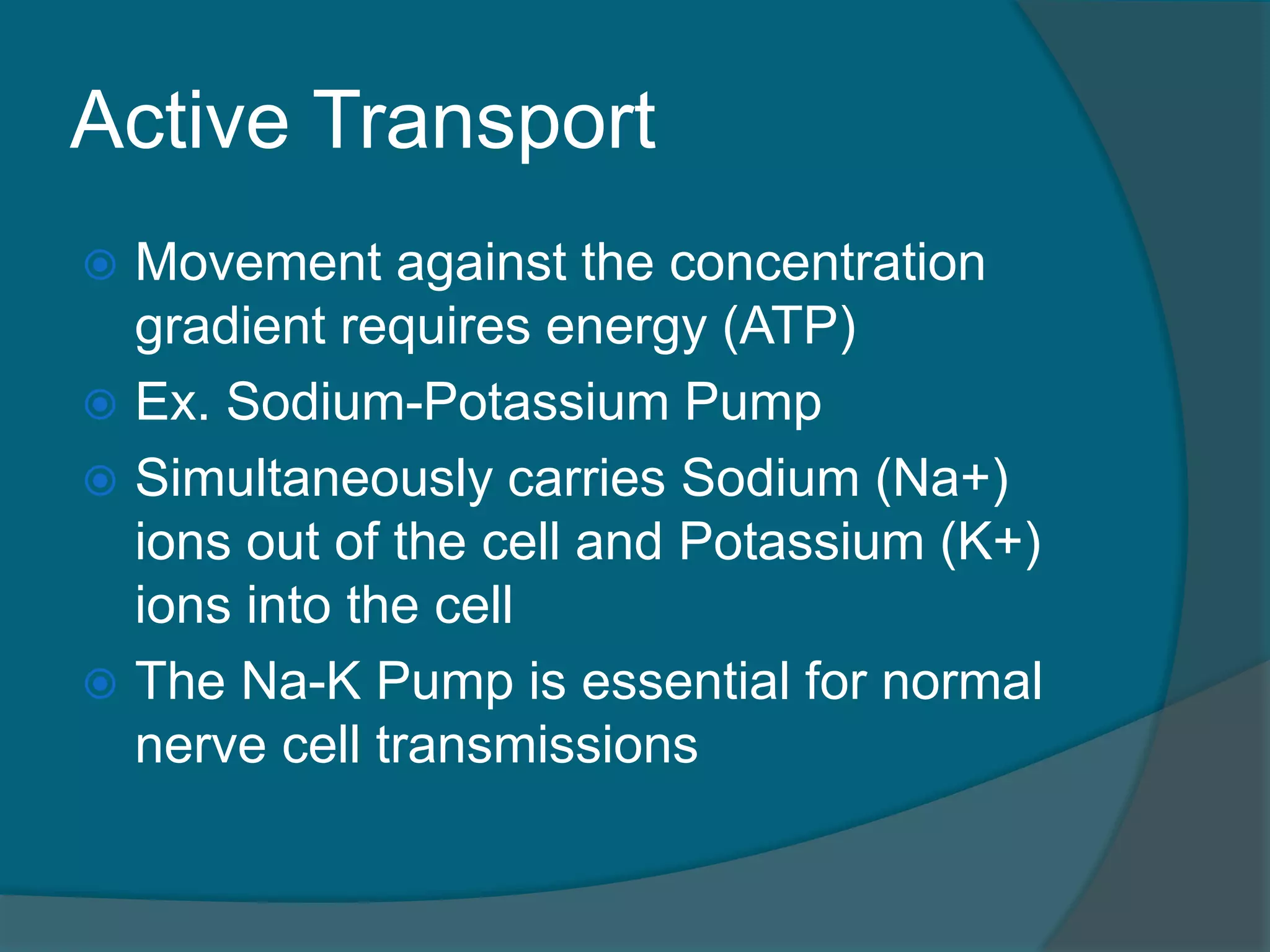 Active Transport
 Movement against the concentration
gradient requires energy (ATP)
 Ex. Sodium-Potassium Pump
 Simultaneously carries Sodium (Na+)
ions out of the cell and Potassium (K+)
ions into the cell
 The Na-K Pump is essential for normal
nerve cell transmissions
 
