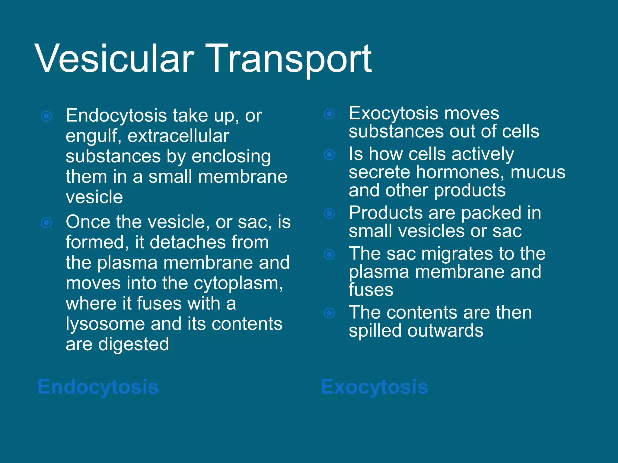 Vesicular Transport
Endocytosis Exocytosis
 Endocytosis take up, or
engulf, extracellular
substances by enclosing
them in a small membrane
vesicle
 Once the vesicle, or sac, is
formed, it detaches from
the plasma membrane and
moves into the cytoplasm,
where it fuses with a
lysosome and its contents
are digested
 Exocytosis moves
substances out of cells
 Is how cells actively
secrete hormones, mucus
and other products
 Products are packed in
small vesicles or sac
 The sac migrates to the
plasma membrane and
fuses
 The contents are then
spilled outwards
 
