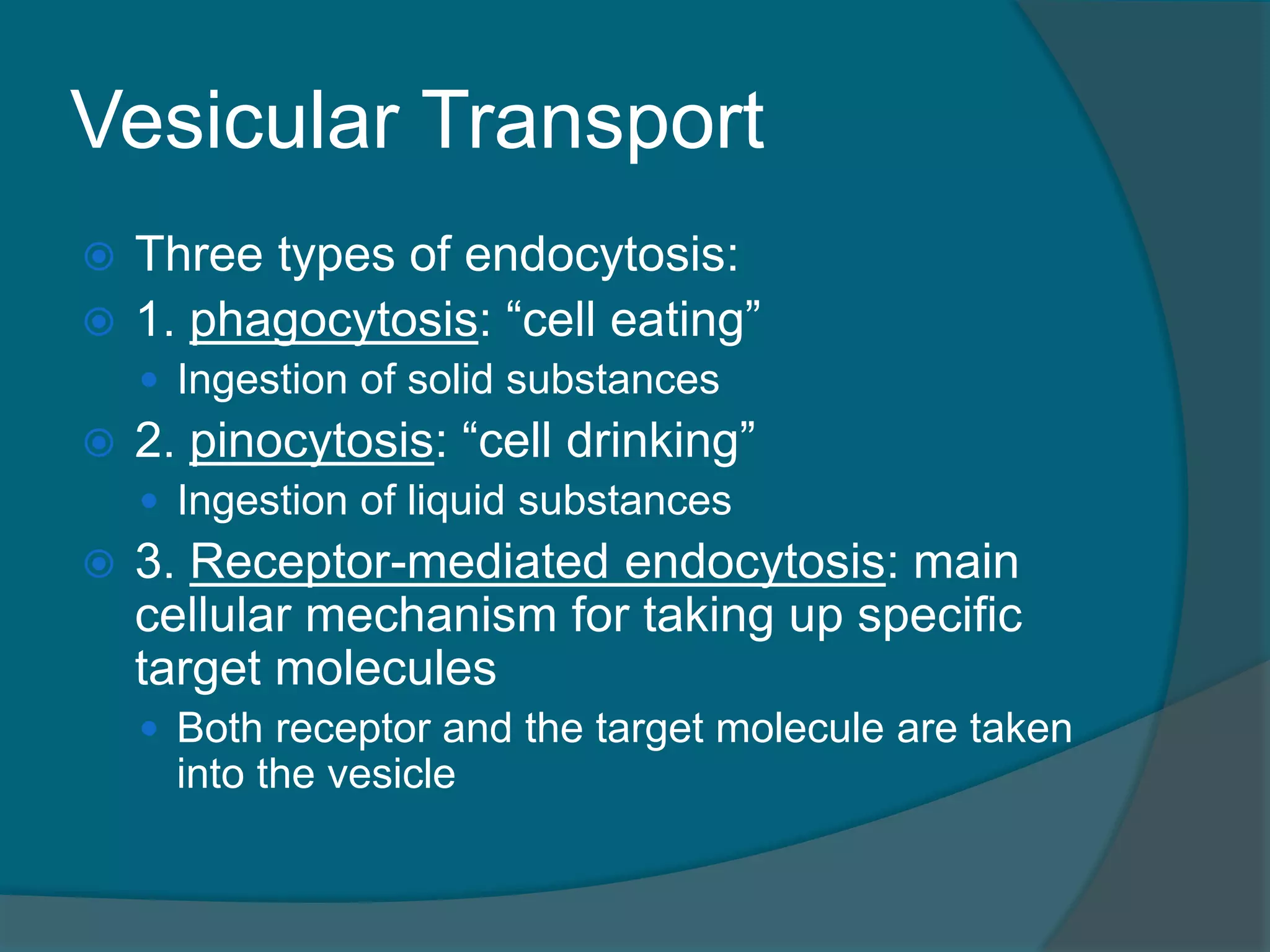 Vesicular Transport
 Three types of endocytosis:
 1. phagocytosis: “cell eating”
 Ingestion of solid substances
 2. pinocytosis: “cell drinking”
 Ingestion of liquid substances
 3. Receptor-mediated endocytosis: main
cellular mechanism for taking up specific
target molecules
 Both receptor and the target molecule are taken
into the vesicle
 