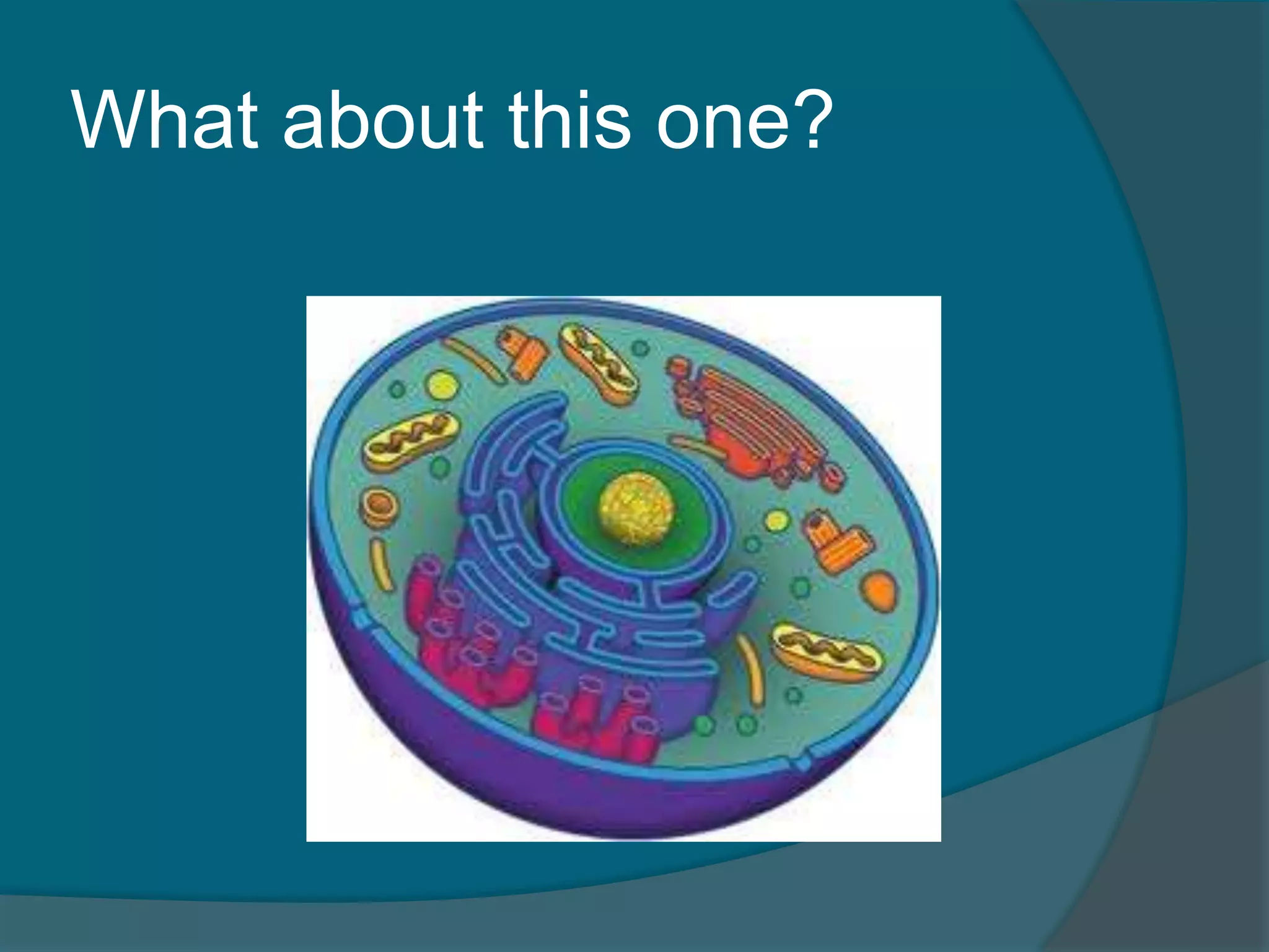 What about this one?
 