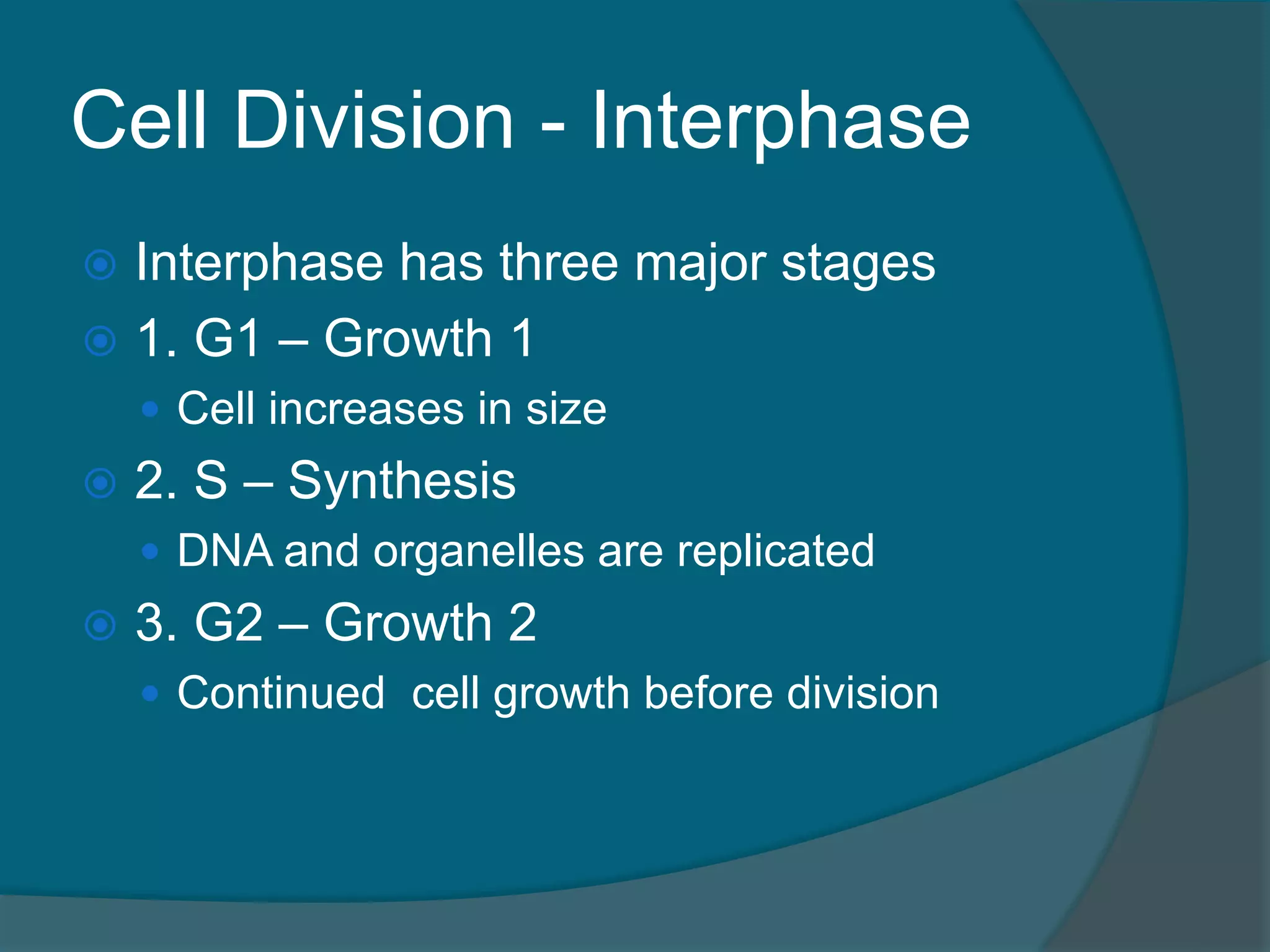 Cell Division - Interphase
 Interphase has three major stages
 1. G1 – Growth 1
 Cell increases in size
 2. S – Synthesis
 DNA and organelles are replicated
 3. G2 – Growth 2
 Continued cell growth before division
 