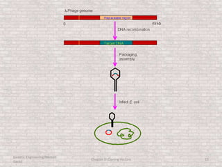 Genetic Engineering/Hikmet
Geckil
Chapter 3: Cloning Vectors 15
 