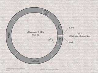 Genetic Engineering/Hikmet
Geckil
Chapter 3: Cloning Vectors 21
 