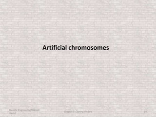 Artificial chromosomes
Genetic Engineering/Hikmet
Geckil
Chapter 3: Cloning Vectors 24
 