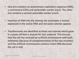 • One arm contains an autonomous replication sequence (ARS),
a centromere (CEN) and aselectable marker (trp1). The other
arm contains a second selectable marker (ura3).
• Insertion of DNA into the cloning site inactivates a mutant
expressed in the vector DNA and red yeast colonies appear.
• Transformants are identified as those red colonies which grow
in a yeast cell that is mutant for trp1 andura3. This ensures
that the cell has received an artificial chromosome with both
telomeres (because of complementation of the two mutants)
and the artificial chromosome contains insert DNA (because
the cell is red).
Genetic Engineering/Hikmet
Geckil
Chapter 3: Cloning Vectors 32
 