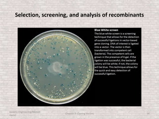 Selection, screening, and analysis of recombinants
Genetic Engineering/Hikmet
Geckil
Chapter 3: Cloning Vectors 34
 