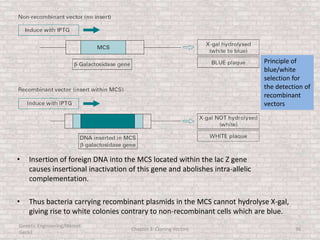 • Insertion of foreign DNA into the MCS located within the lac Z gene
causes insertional inactivation of this gene and abolishes intra-allelic
complementation.
• Thus bacteria carrying recombinant plasmids in the MCS cannot hydrolyse X-gal,
giving rise to white colonies contrary to non-recombinant cells which are blue.
Genetic Engineering/Hikmet
Geckil
Chapter 3: Cloning Vectors 36
Principle of
blue/white
selection for
the detection of
recombinant
vectors
 