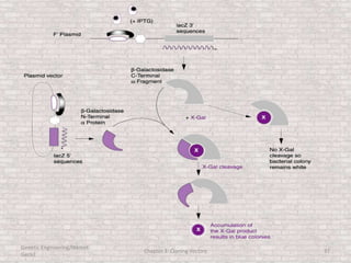 Genetic Engineering/Hikmet
Geckil
Chapter 3: Cloning Vectors 37
 