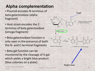 Genetic Engineering/Hikmet
Geckil
Chapter 3: Cloning Vectors 38
Alpha complementation
• Plasmid encodes N-terminus of
beta galactosidase (alpha
fragment)
• Host strain encodes the C-
terminus of beta galactosidase
(omega fragment)
• Beta galactosidase function is
only seen in the presence of both
the N- and C-terminal fragments
• Beta gal function can be
monitored by the cleavage of X-gal
which yields a bright blue product
(blue colonies on a plate)
Bright blue
X-gal
 