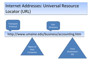 Internet Addresses: Universal Resource Locator (URL) http://www.umaine.edu/business/accounting.htm Transport Protocol Name of Host Computer Sub-Directory Final destination file 