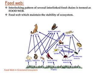 Chapter 3-Ecosystem.ppt.pptx