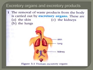 Form 3 Science -Chapter 3 excretion | PPTX