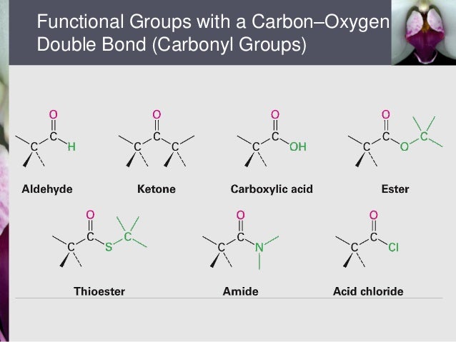 Chapter 3 Functional Groups chapter-3-functional-groups