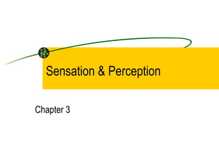 Sensation & Perception Chapter 3 