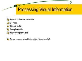 Processing Visual Information <ul><li>Research:  feature detectors </li></ul><ul><li>3 Types: </li></ul><ul><li>Simple cel...