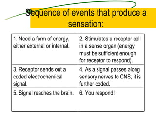 Sequence of events that produce a sensation: 6. You respond! 5. Signal reaches the brain. 4. As a signal passes along sens...