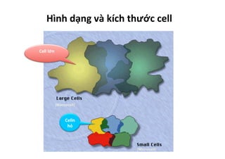 Hình	
  dạng	
  và	
  kích	
  thước	
  cell	
  
Cell	
  lớn	
  
	
  
Celln
hỏ	
  
(Macrocell)
(Microcell)
 