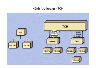 Kênh	
  lưu	
  lượng	
  -­‐	
  TCH	
  
 