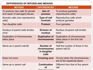 MITOSIS DIFFERENCES MEIOSIS
To produce new cells for growth
and repair of damaged tissues
Aim of
process
To produce gametes
(reproductive cells)
Somatic cells (non reproductive
cells)
Type of cell
involved
Reproductive cells which
produce gametes
Two daughter cells Product Four gametes
Nucleus of parent cells divides
once
Division of
nucleus
Nucleus of parent cell divides
twice
Duplication of chromosomes
takes place
Duplication of
chromosomes
Duplication of chromosomes
takes place in the first cell
division
Same as in parent cell,46 Number of
chromosomes
in daughter
cells
Half the number of those in the
parent cell,23
Does not occur Crossing over Occurs when the chromosomes
are at the equatorial plane
Same as in parent cell Combination
of
Different from that of the parent
cell
DIFFERENCES OF MITOSIS AND MEIOSIS
 