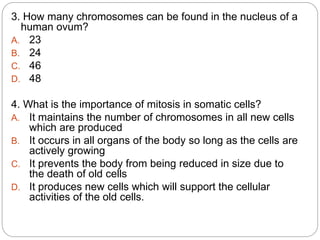 3. How many chromosomes can be found in the nucleus of a
human ovum?
A. 23
B. 24
C. 46
D. 48
4. What is the importance of mitosis in somatic cells?
A. It maintains the number of chromosomes in all new cells
which are produced
B. It occurs in all organs of the body so long as the cells are
actively growing
C. It prevents the body from being reduced in size due to
the death of old cells
D. It produces new cells which will support the cellular
activities of the old cells.
 