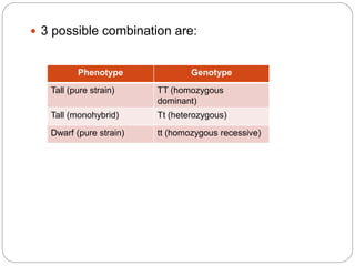  3 possible combination are:
Phenotype Genotype
Tall (pure strain) TT (homozygous
dominant)
Tall (monohybrid) Tt (heterozygous)
Dwarf (pure strain) tt (homozygous recessive)
 