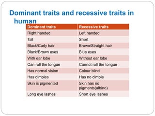 Dominant traits and recessive traits in
human
Dominant traits Recessive traits
Right handed Left handed
Tall Short
Black/Curly hair Brown/Straight hair
Black/Brown eyes Blue eyes
With ear lobe Without ear lobe
Can roll the tongue Cannot roll the tongue
Has normal vision Colour blind
Has dimples Has no dimple
Skin is pigmented Skin has no
pigments(albino)
Long eye lashes Short eye lashes
 