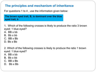 The principles and mechanism of inheritance
For questions 1 to 4 , use the information given below:
1. Which of the following crosses is likely to produce the ratio 3 brown
eyed: 1 blue eyed?
A. BB x bb
B. Bb x bb
C. BB x Bb
D. Bb x Bb
2. Which of the following crosses is likely to produce the ratio 1 brown
eyed: 1 blue eyed?
A. BB x bb
B. Bb x bb
C. BB x Bb
D. Bb x Bb
The brown eyed trait, B, is dominant over the blue
eyed trait, b
 