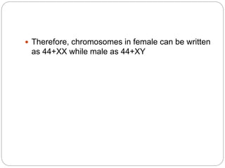 Therefore, chromosomes in female can be written
as 44+XX while male as 44+XY
 