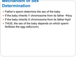 Mechanism of Sex
Determination
 Father’s sperm determine the sex of the baby
 If the baby inherits Y chromosome from its father boy
 If the baby inherits X chromosome from its fathergirl
 THUS, the sex of the baby depends on which sperm
fertilizes the egg cell(ovum).
 