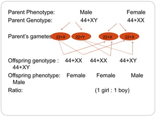 Parent Phenotype: Male Female
Parent Genotype: 44+XY 44+XX
Parent’s gametes:
Offspring genotype : 44+XX 44+XX 44+XY
44+XY
Offspring phenotype: Female Female Male
Male
Ratio: (1 girl : 1 boy)
22+X 22+Y 22+X 22+X
 