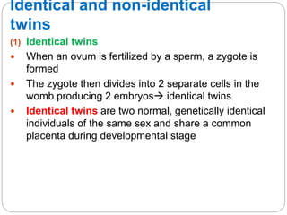 Identical and non-identical
twins
(1) Identical twins
 When an ovum is fertilized by a sperm, a zygote is
formed
 The zygote then divides into 2 separate cells in the
womb producing 2 embryos identical twins
 Identical twins are two normal, genetically identical
individuals of the same sex and share a common
placenta during developmental stage
 