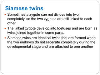 Siamese twins
 Sometimes a zygote can not divides into two
completely, so the two zygotes are still linked to each
other
 The linked zygote develop into foetuses and are born as
twins joined together in some parts.
 Siamese twins are identical twins that are formed when
the two embryos do not separate completely during the
developmental stage and are attached to one another
 