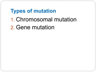 Types of mutation
1. Chromosomal mutation
2. Gene mutation
 