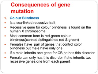 Consequences of gene
mutation
1. Colour Blindness
 Is a sex-linked recessive trait
 Recessive gene for colour blindness is found on the
human X chromosome
 Most common form is red-green colour
blindness(cannot distinguishes red & green)
 Females have pair of genes that control color
blindness but male have only one
 If a male inherits one gene for CB,he has this disorder
 Female can only has this disorder if she inherits two
recessive genes,one from each parent
 