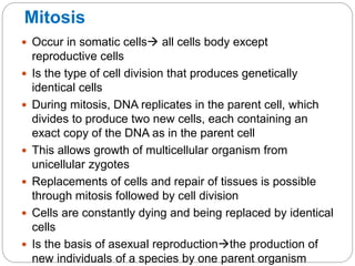Mitosis
 Occur in somatic cells all cells body except
reproductive cells
 Is the type of cell division that produces genetically
identical cells
 During mitosis, DNA replicates in the parent cell, which
divides to produce two new cells, each containing an
exact copy of the DNA as in the parent cell
 This allows growth of multicellular organism from
unicellular zygotes
 Replacements of cells and repair of tissues is possible
through mitosis followed by cell division
 Cells are constantly dying and being replaced by identical
cells
 Is the basis of asexual reproductionthe production of
new individuals of a species by one parent organism
 