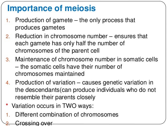 Chapter 3 heredity and variation