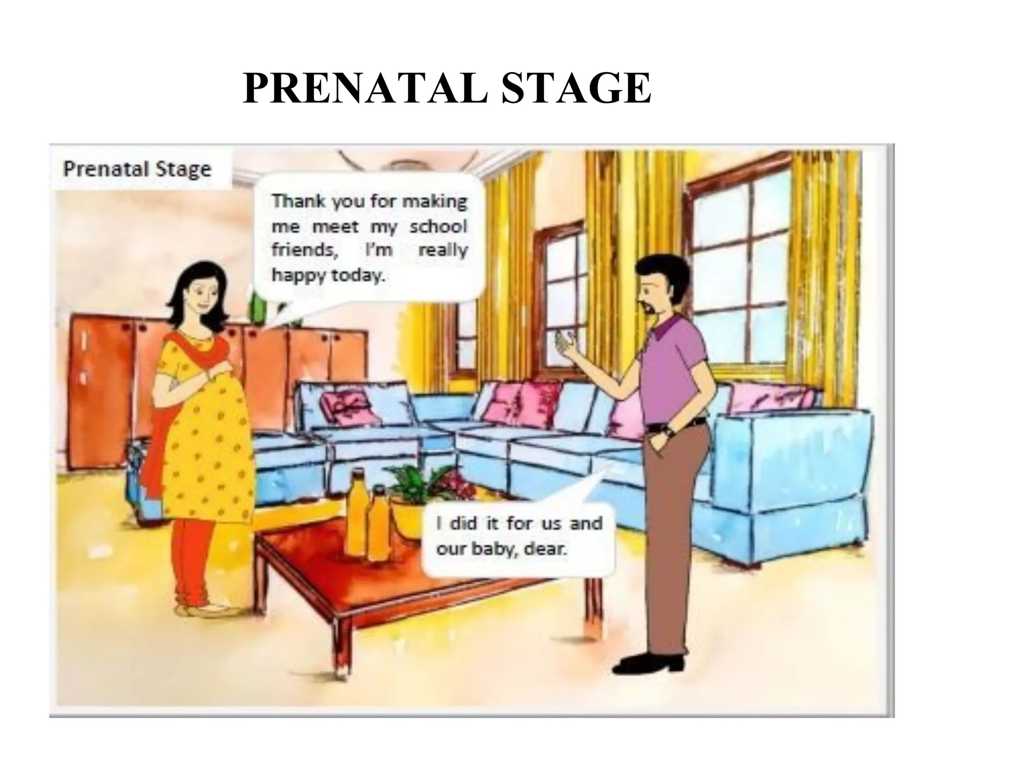 PRENATAL STAGE
 