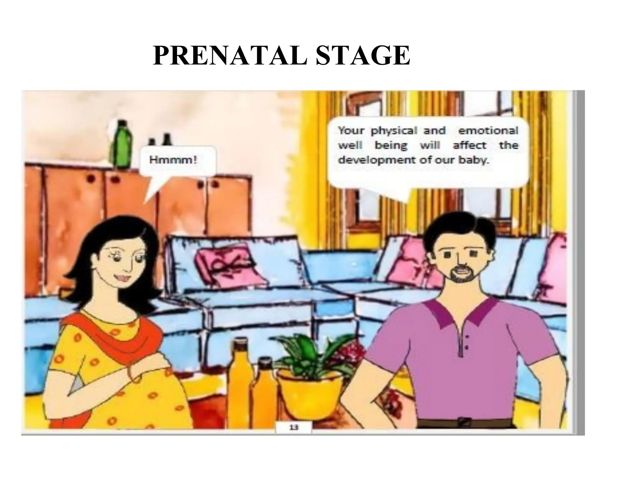 PRENATAL STAGE
 