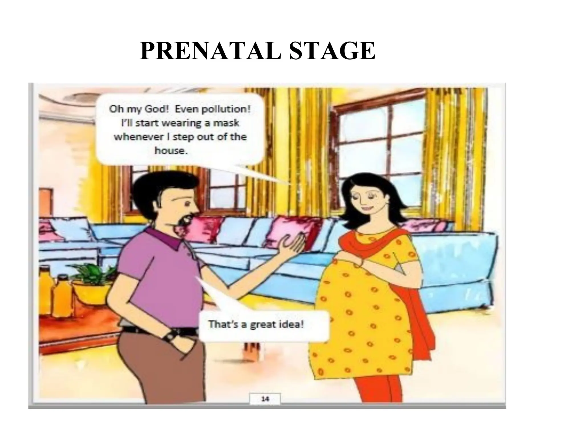 PRENATAL STAGE
 