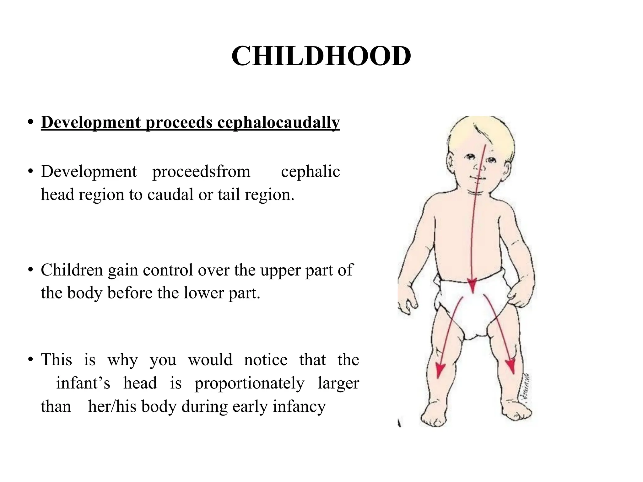 CHILDHOOD
• Development proceeds cephalocaudally
• Development proceedsfrom cephalic
head region to caudal or tail region.
• Children gain control over the upper part of
the body before the lower part.
• This is why you would notice that the
infant’s head is proportionately larger
than her/his body during early infancy
 