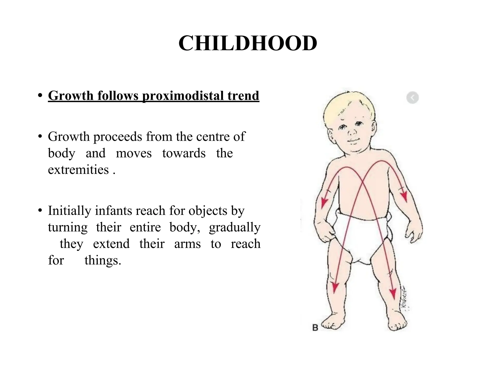 CHILDHOOD
• Growth follows proximodistal trend
• Growth proceeds from the centre of
body and moves towards the
extremities .
• Initially infants reach for objects by
turning their entire body, gradually
they extend their arms to reach
for things.
 