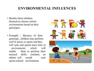 ENVIRONMENTAL INFLUENCES
• Besides these children
themselves choose certain
environments based on their
genotypes.
• Example : Because of their
genotype , children may perform
well in music or sports and they
will seek and spend more time in
environments which will
enable them to perform their
musical skills; similarly an
athlete will would seek
sports-related environment.
 
