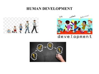 HUMAN DEVELOPMENT
 