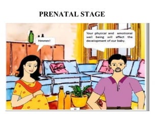 PRENATAL STAGE
 