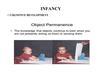 INFANCY
• COGNITIVE DEVELOPMENT
 