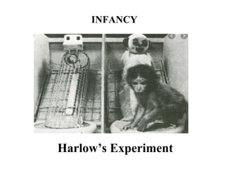 INFANCY
Harlow’s Experiment
 